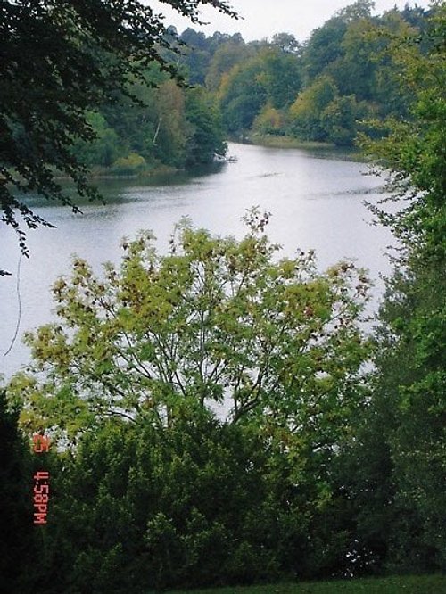 Blenheim Palace grounds. September afternoon 2006.