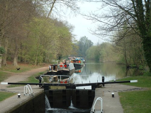 Cassiobury Park