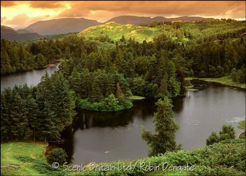 Tarn Hows, near Coniston, Lake District, Cumbria