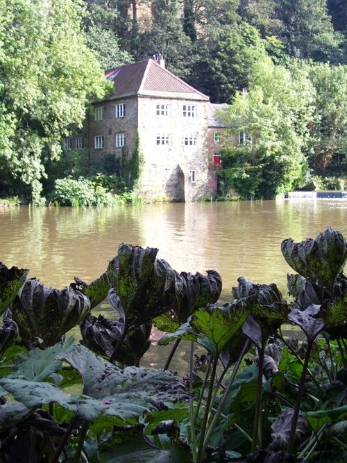 Cottage on Tyne River, Durham