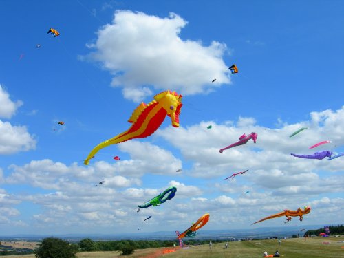 Kites at the Racecourse above Richmond, North Yorkshire. Summer 2006