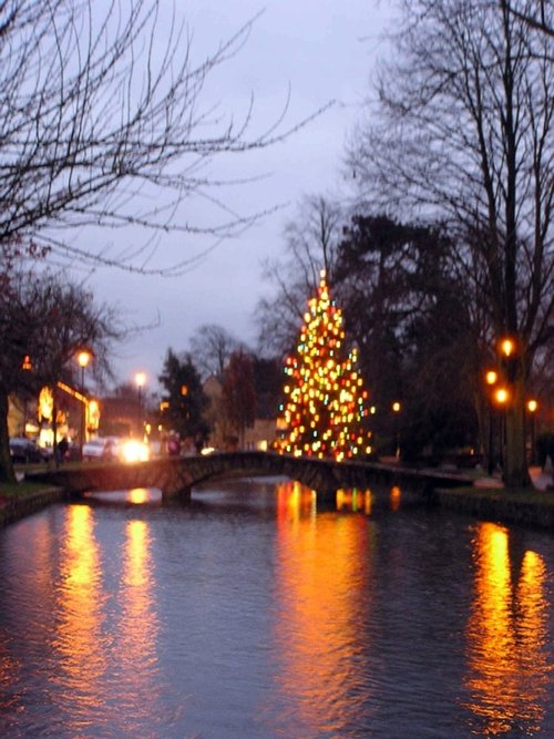 "River Christmas tree in Bourton on the Water, Gloucestershire." by