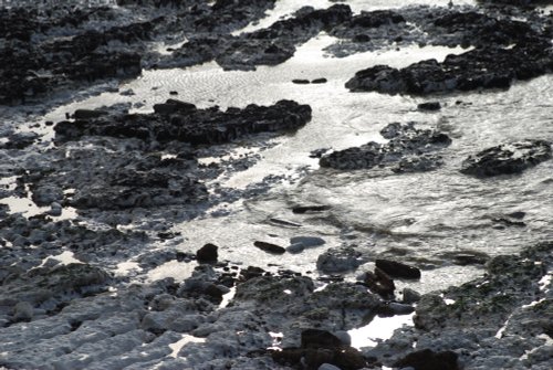 Birling Gap