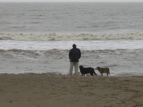 One man and his dogs on beach at Sutton on Sea, Lincolnshire.