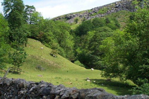 Hebden Ghyll, Hebden, North Yorkshire. Taken June 2006.