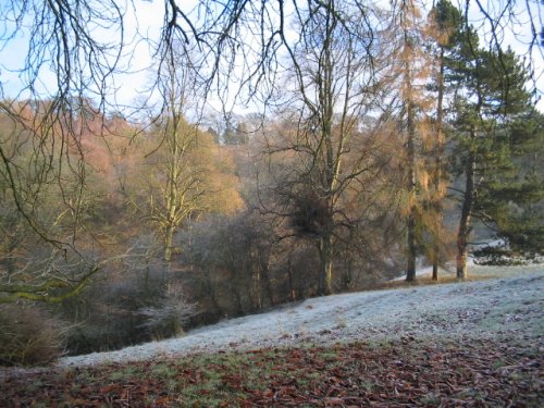 Bishops Park,Bishop Auckland,Durham