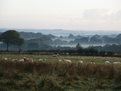 Thelbridge Cross