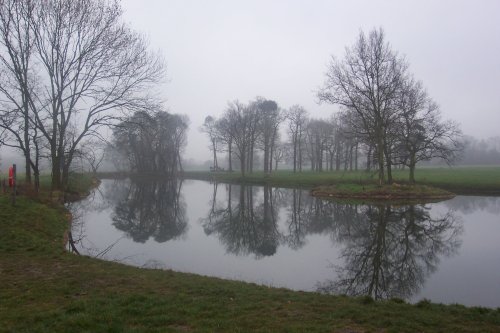 Lake early morning, Hylands Park, Chelmsford, Essex