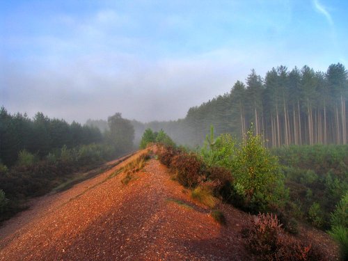 Cannock Chase Country Park, Staffordshire