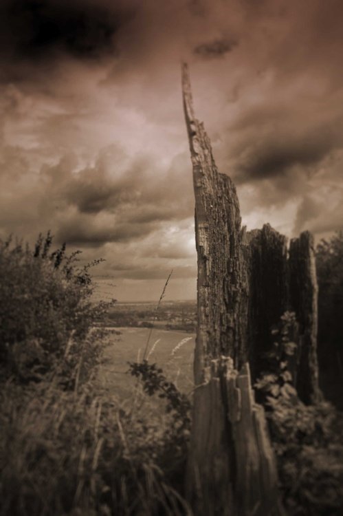 Storm brewing, Hartshill hayes.