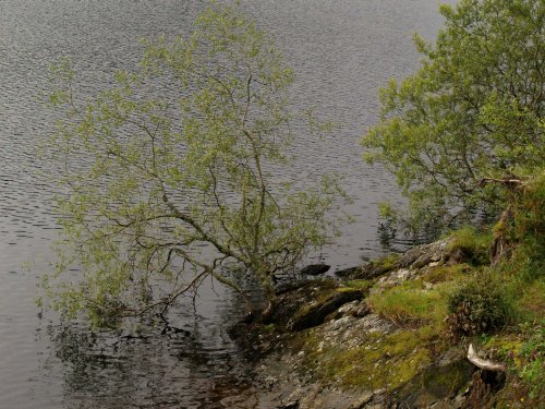 Lake Vyrnwy