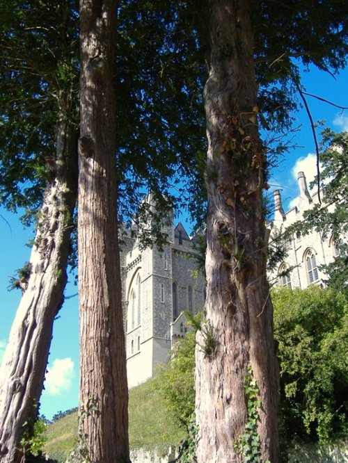 Arundel Castle, Arundel, West Sussex