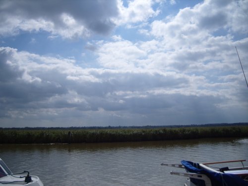 Reedham Views, Norfolk