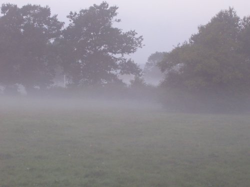 Mist