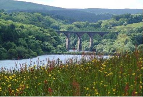 Wayoh Reservoir - Edgworth, Lancashire