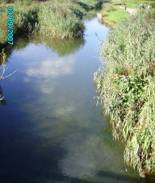 Seaton Valley Country Park