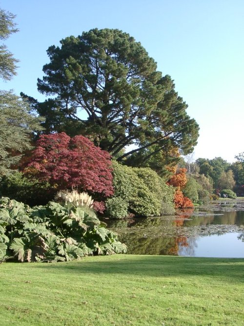 Autumn Colours, Sheffield Park, Uckfield, East Sussex