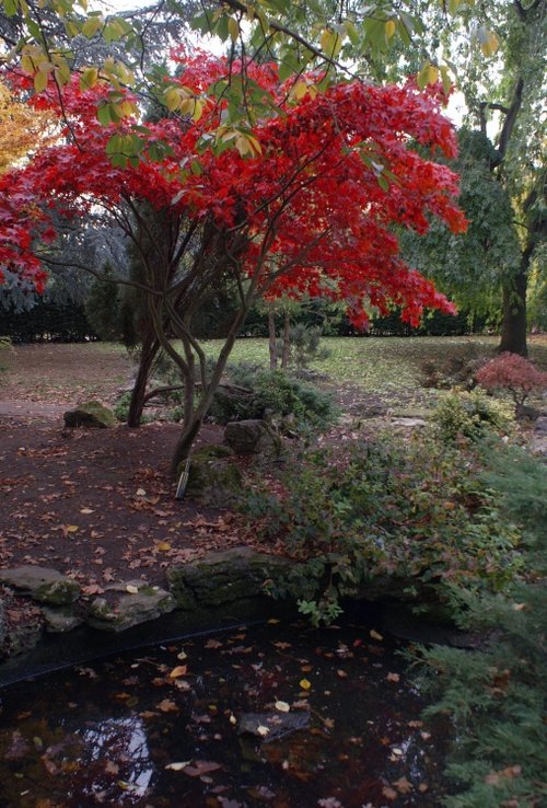 Autumn, Walpole Park