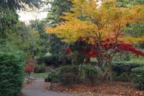 Autumn, Walpole Park