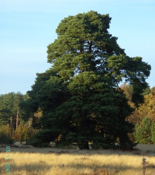 Clumber Country Park