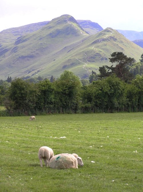 Looking towards Cat Bells