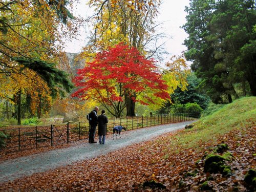 the Lake District