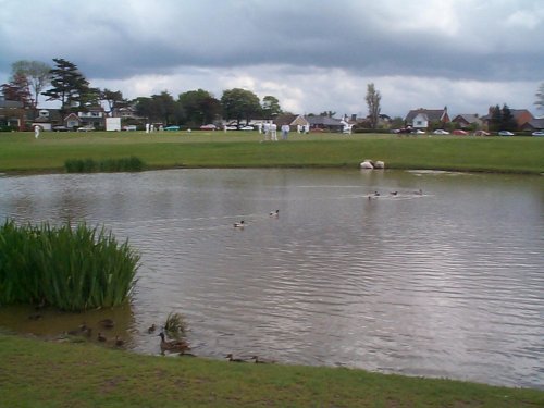 Cricket on the Green