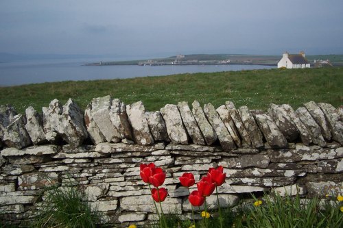 Shapinsay