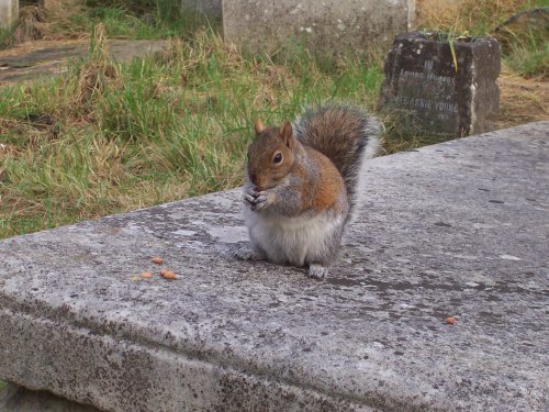 Brompton Cemetery