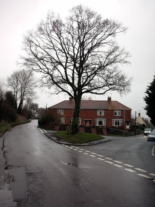 The Oak Apple Tree, Great Wishford, Wiltshire