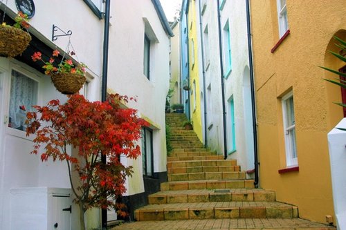 Temperence Steps, Brixham, Devon