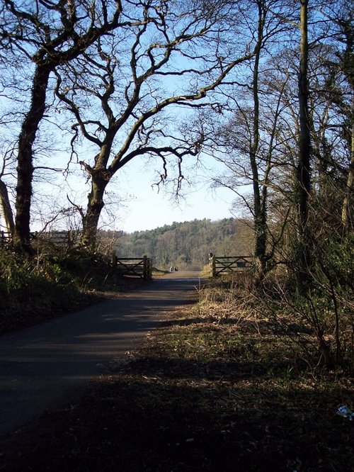 West of Wylam, Northumberland