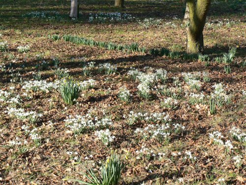 Goodnestone Park Gardens