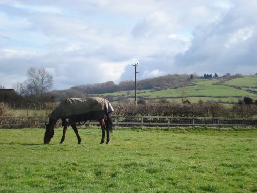 Beautiful landscape in Lacock, Wiltshire