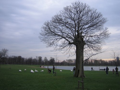 Hyde Park