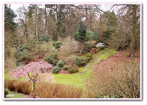 Gardens At Virginia Water