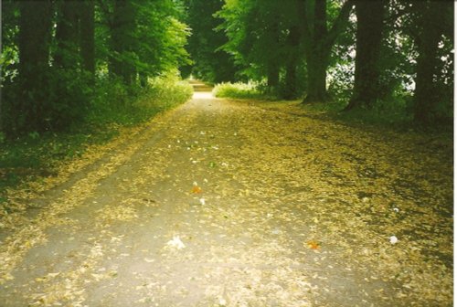 Green Lane. A memorial to mother