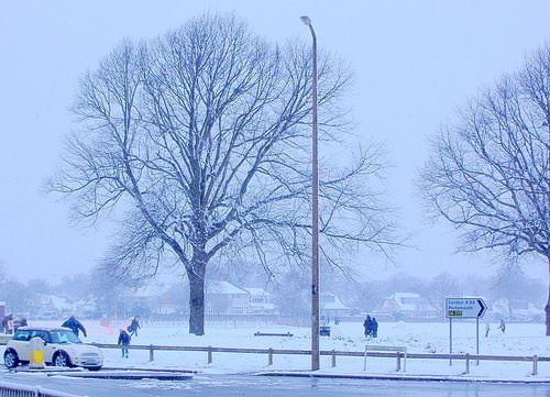 Broadwater Green spot the kid