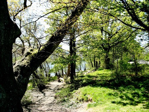 Ullswater