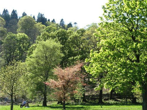 Glenridding