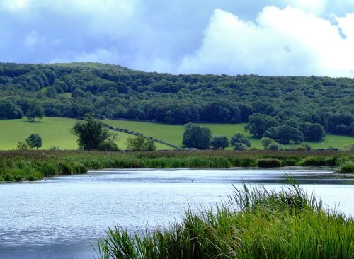 Leighton Moss R.S.P.B. Nature Reserve