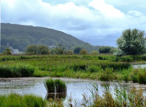 Leighton Moss R.S.P.B. Nature Reserve