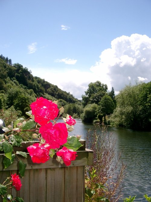 By the river at Symonds Yat