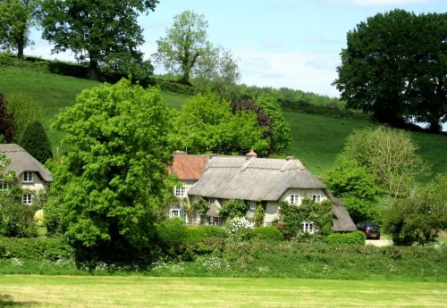 Thatched Cottages near Longleat Estate