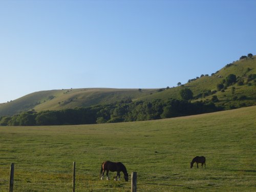 Beneath the Downs