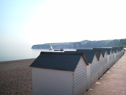 Seaton