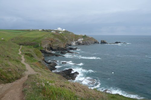 Lizard-point