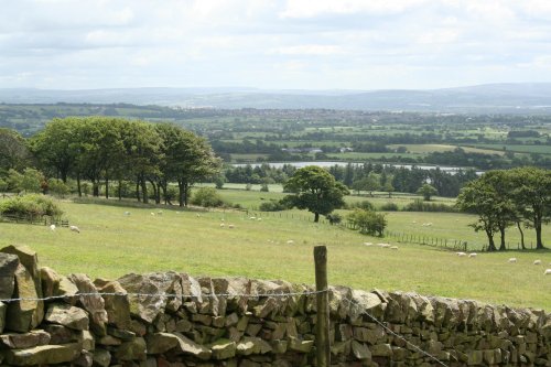 Beacon Fell Country Park