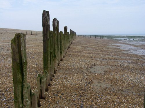 Low tide