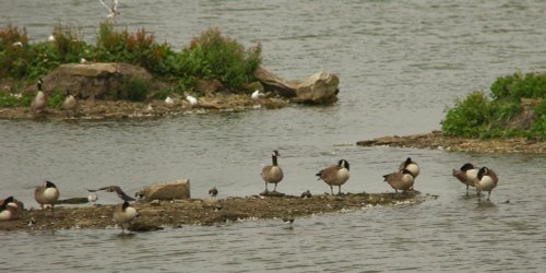 Anglers Country Park